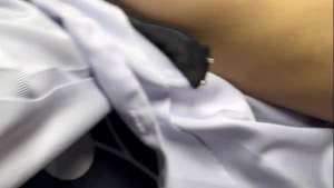 Virgin Student Firstime to Show Breast in Video