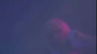 Lesbians In Paradise