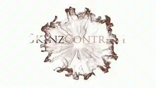 Rebecca Volpetti Interview