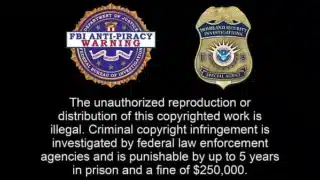 Dr Tampa – Strangers In The Night – Stefania Mafra