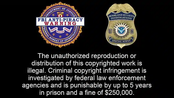 Dr Tampa – Strangers In The Night – Stefania Mafra