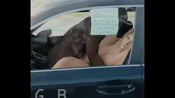 Samus aran sex in the car (GeneralButch)