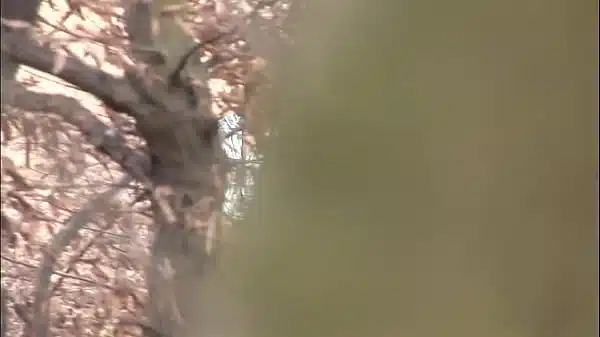 Simon Gets her Pussy Rammed for Help